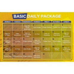 Daily SEO Basic Plan